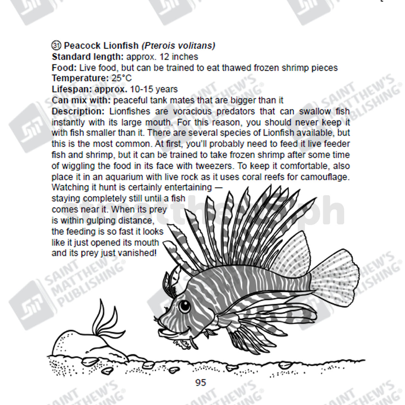 Fish Be With You - Image 5
