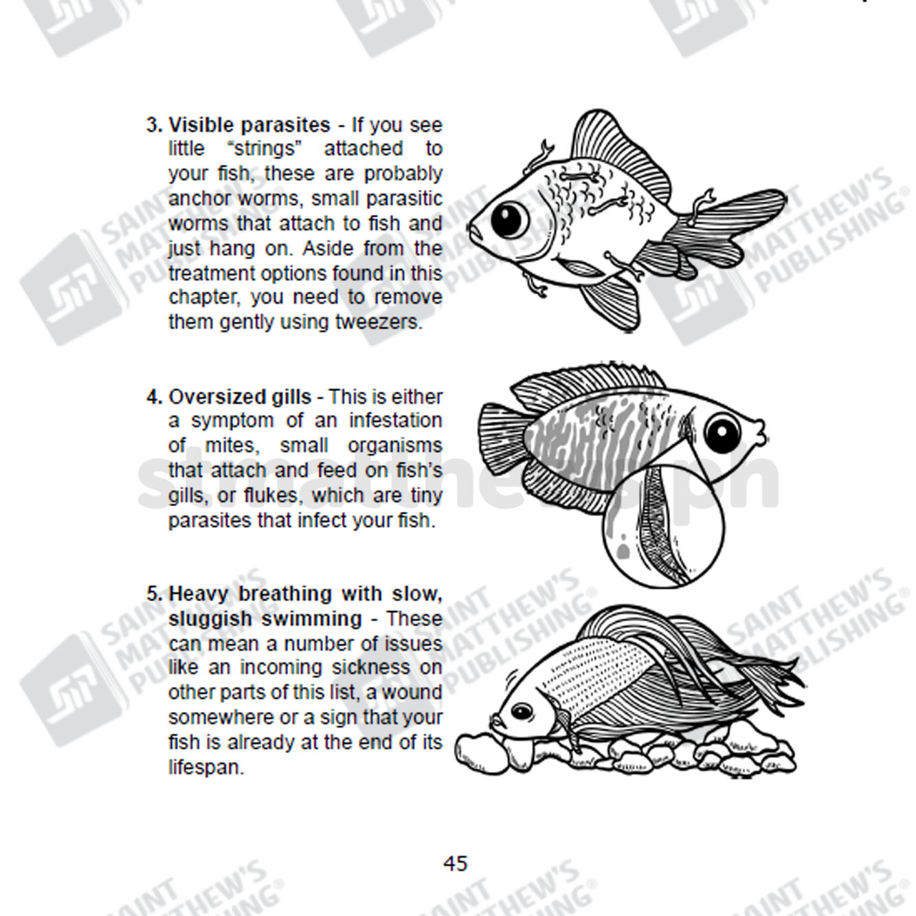 Fish Be With You - Image 3